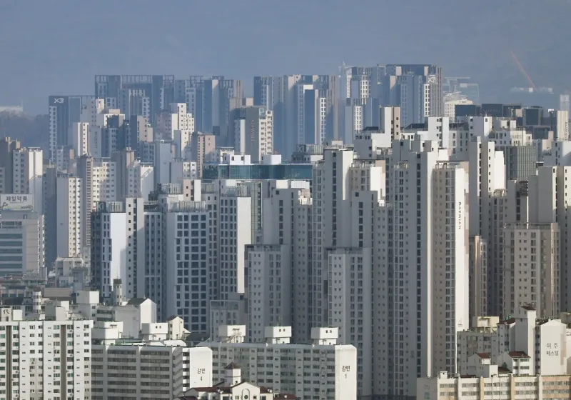 부동산 경매의 실제 사례