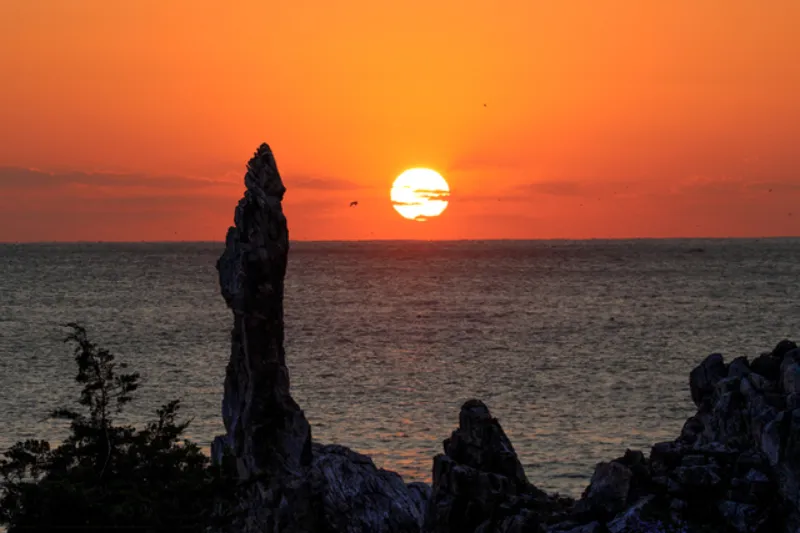 동해 해돋이 명소