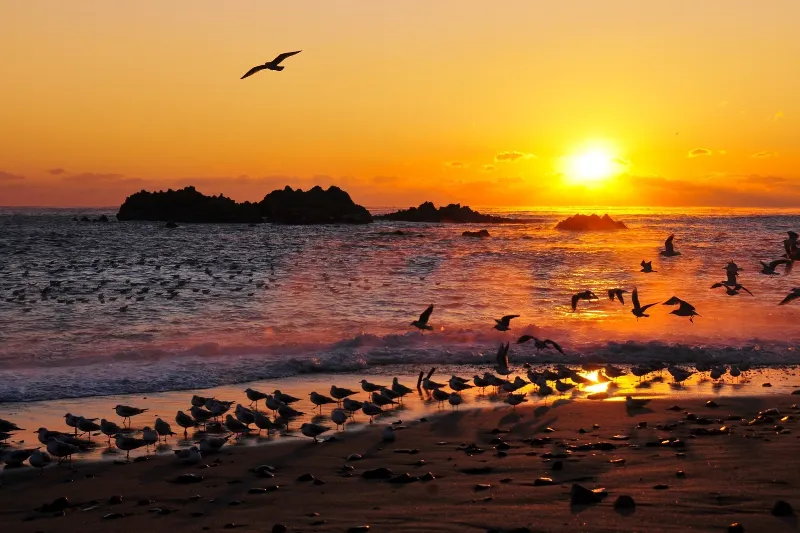 경주 해돋이 행사