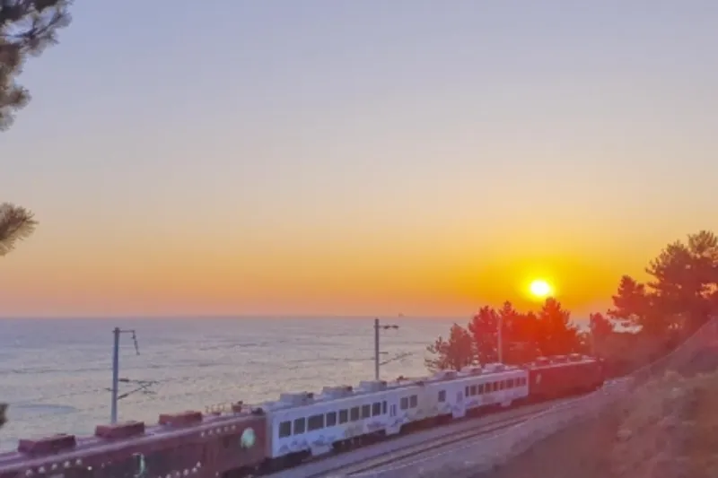 동해 해돋이 열차