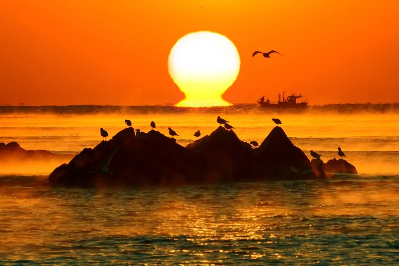 경주 해돋이 명소