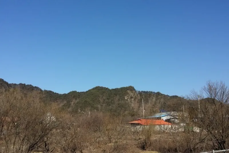 지상권 설정