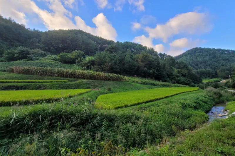 토지거래허가구역 추가 서류