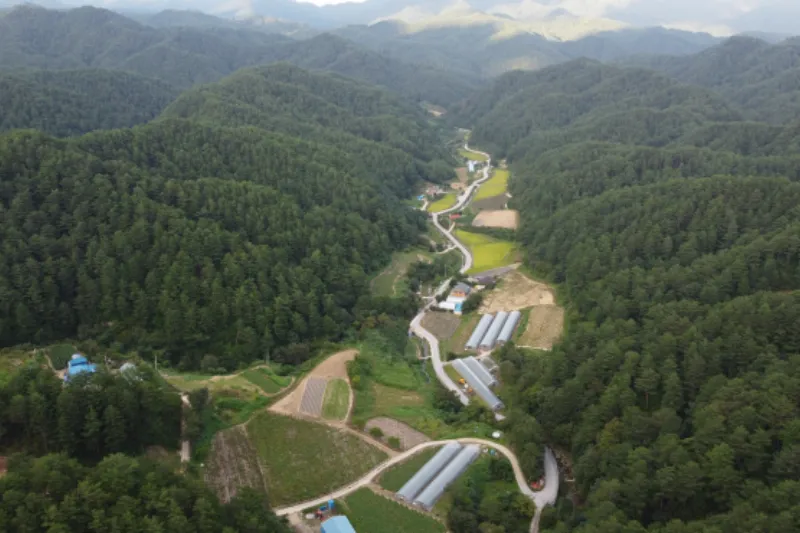 토지공시지가 조회사이트