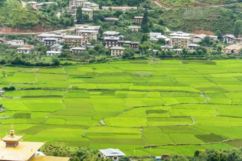 공시지가 조회 절차