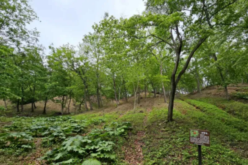 토지 용도변경 방법