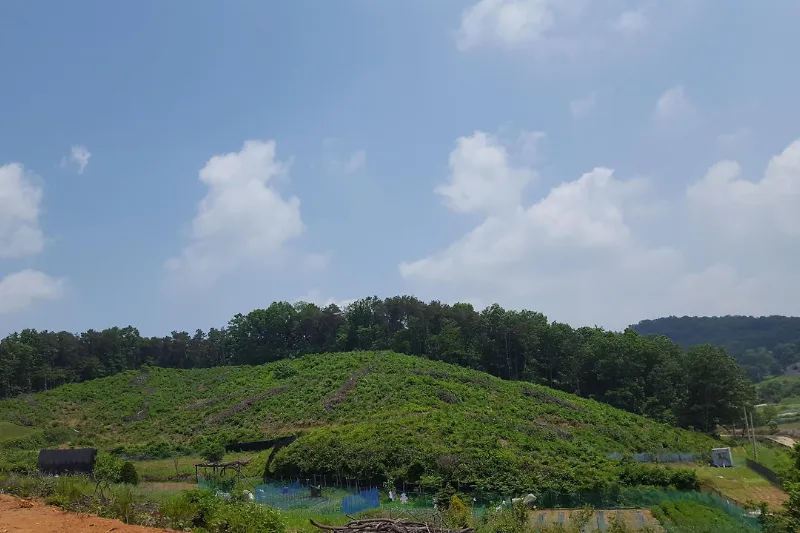 토지 용도변경 기간